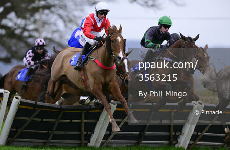Taunton Races, Taunton, UK - 29 Feb 2024