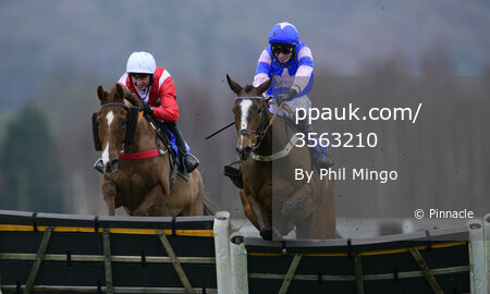 Taunton Races, Taunton, UK - 29 Feb 2024