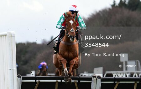 Exeter Races, Exeter, UK - 31 Jan 2024