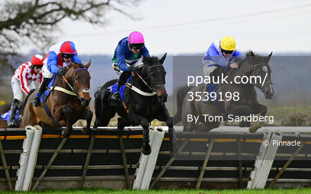 Taunton Races, Taunton, UK - 8 Jan 2024