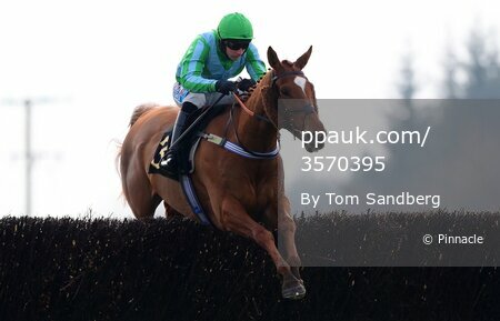 Exeter Races, Exeter, UK - 8 Mar 2024