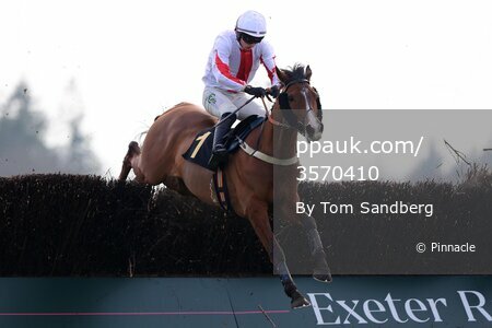 Exeter Races, Exeter, UK - 8 Mar 2024