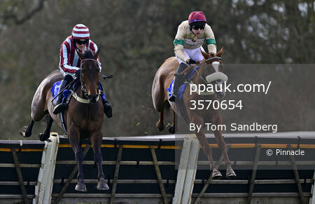 Taunton Races, Taunton, UK - 11 Mar 2024