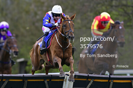 Taunton Races, Taunton, UK - 26 Mar 2024