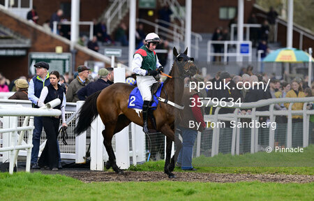 Taunton Races, Taunton, UK - 26 Mar 2024