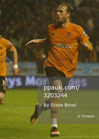 Wolves v Sunderland 041211