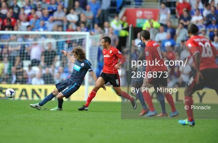 Cardiff City v Newcastle United 051013