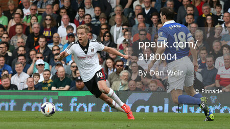 Fulham v Everton 300314