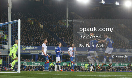 Everton v Crystal Palace 071215