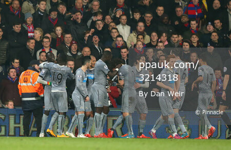 Crystal Palace v Newcastle United 110215