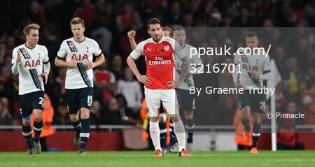 Arsenal v Tottenham 081115