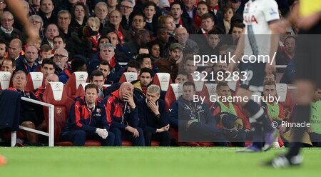 Arsenal v Tottenham 081115