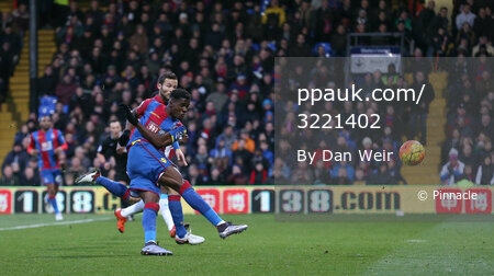 Crystal Palace v Newcastle United 281115