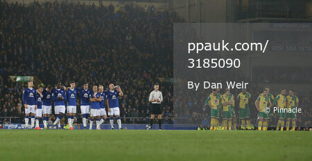 Everton v Norwich City 271015