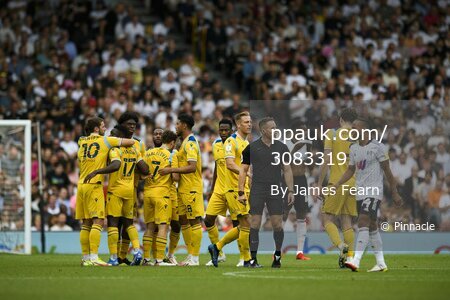 Fulham v Reading, London, UK - 18 September 2021.