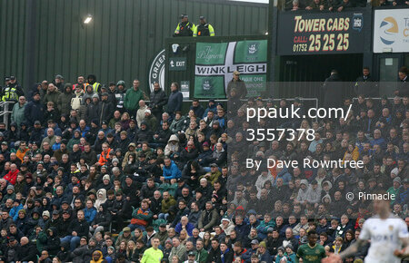 Plymouth Argyle v Leeds United, Plymouth, UK - 17 Feb 2024