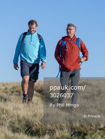 Nigel Pearson Moor Walk, Dartmoor, UK - 4 Nov 2020