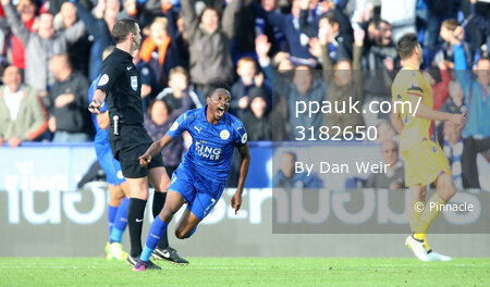 Leicester City v Crystal Palace 221016