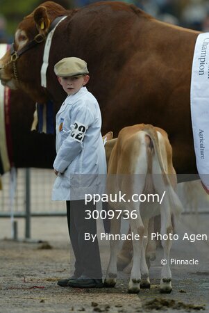 Devon County show, Exeter, UK 18 May 2002