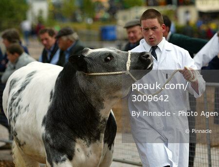Devon County show, Exeter, UK 17 May 2002