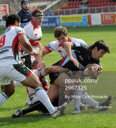Plymouth Albion v Bedford Blues  Plymouth v Bedford 190909