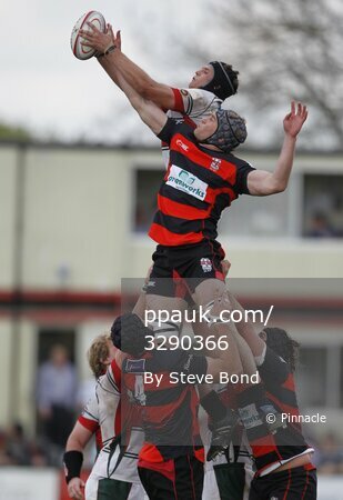 Moseley v Plymouth Albion 160411