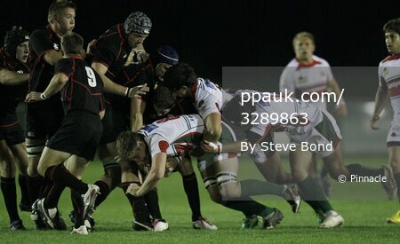 Moseley v Plymouth Albion 210911