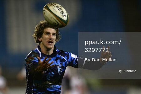 Plymouth Albion v Bedford Blues 221113