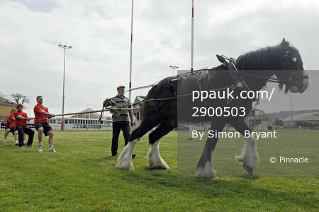 Cornish Pirates  Horse Pull