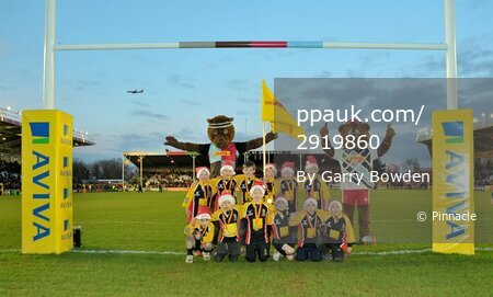 Harlequins v Newcastle Falcons 201214