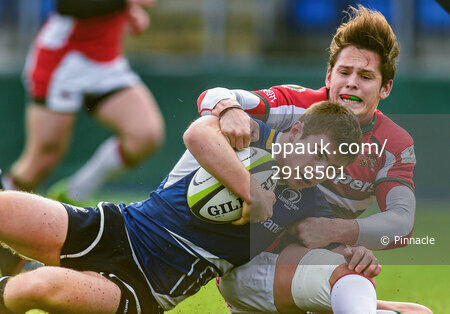 Leinster A v Plymouth Albion 131214