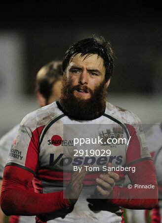 Plymouth Albion v Carmarthen Quins 061214
