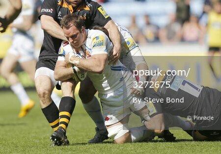 Wasps v Exeter Chiefs 260415