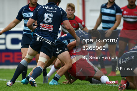 Plymouth Albion  v Bedford Blues 220815