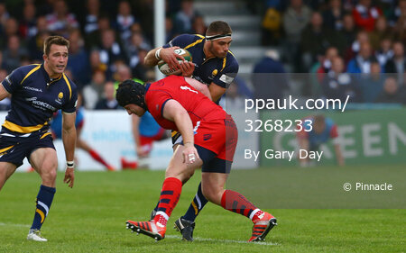 Worcester v Bristol Rugby 270515