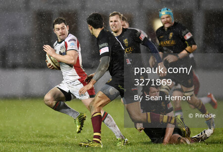 Plymouth Albion v Ampthill 281115