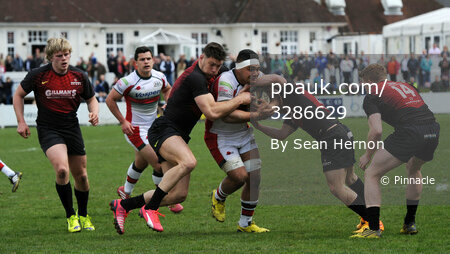 Plymouth Albion v Hartpury College 230416