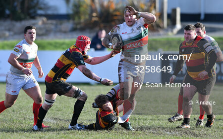 Plymouth ALbion v Cinderford, Plymouth, UK - 2 Feb 2019