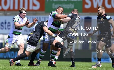 Exeter Chiefs v Newcastle Falcons , Exeter, UK - 30 May 2021