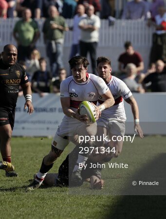 Plymouth Albion v Ampthill, Plymouth, UK - 8 Apr 2017 