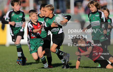 Plymouth Albion v Bishop's Stortford, Plymouth, UK - 20 Oct 2018