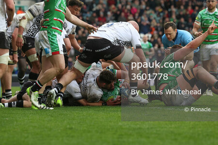 Leicester Tigers v Bristol Bears, Leicester, UK - 27 Apr 2024