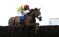Exeter Races 160413