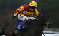 Exeter Races 051113