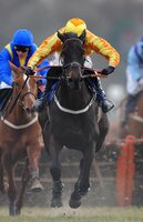 Exeter Races 090310