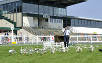 Exeter Races 180411