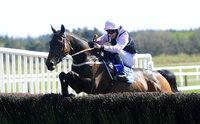 Exeter Races 150414