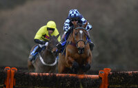 Exeter Races 140114