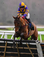 Exeter Races, UK - 01 Jan 2023