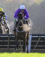 Exeter Races, Exeter, UK - 10 Nov 2023